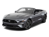 New 2019 Ford Mustang in East TX Lakes Area