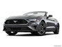 2019 Ford Mustang
                         Front low wide at Jasper Ford-Lincoln